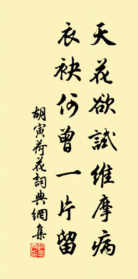 胡寅天花欲试维摩病，衣袂何曾一片留书法作品欣赏
