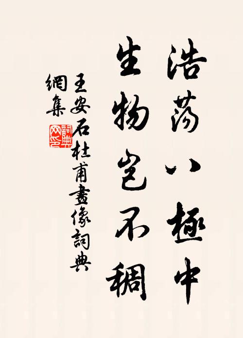 王安石浩荡八极中，生物岂不稠书法作品欣赏