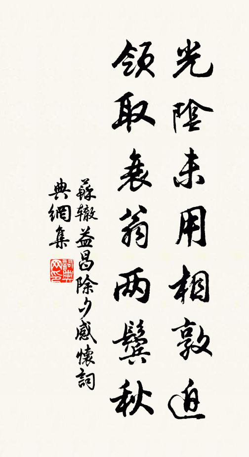 苏辙光阴未用相敦迫，领取衰翁两鬓秋书法作品欣赏