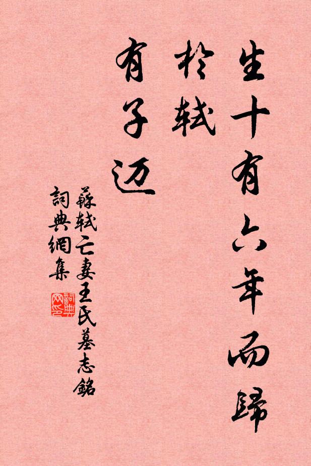 苏轼生十有六年而归于轼,有子迈书法作品欣赏