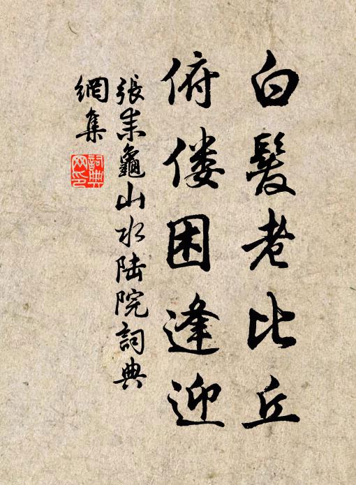张耒白发老比丘，俯偻困逢迎书法作品欣赏