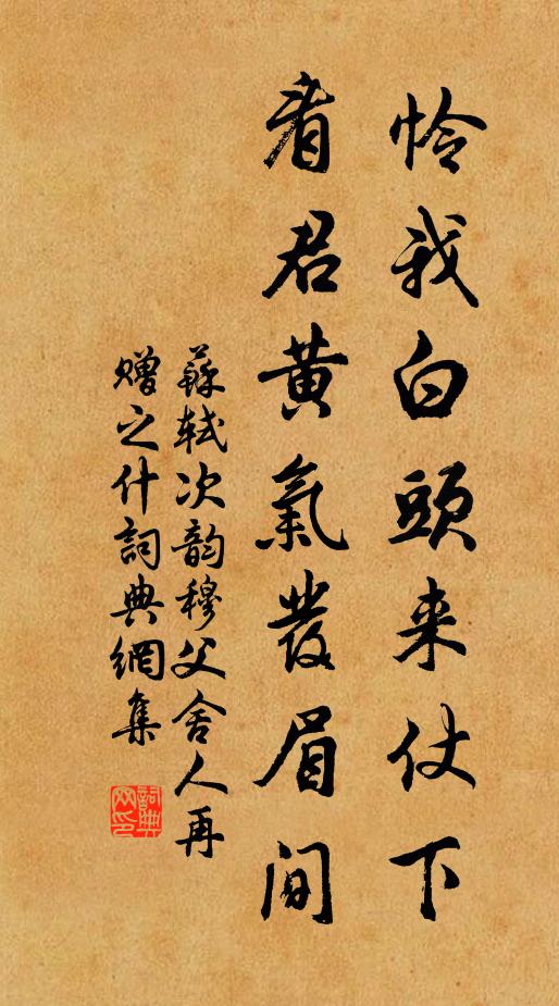 苏轼怜我白头来仗下，看君黄气发眉间书法作品欣赏