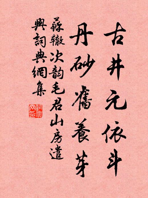 苏辙古井元依斗，丹砂旧养芽书法作品欣赏