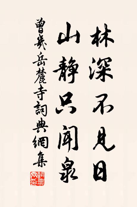 曾几林深不见日，山静只闻泉书法作品欣赏