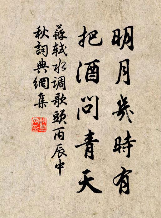 苏轼明月几时有?把酒问青天。书法作品欣赏