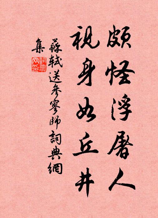 苏轼颇怪浮屠人，视身如丘井书法作品欣赏