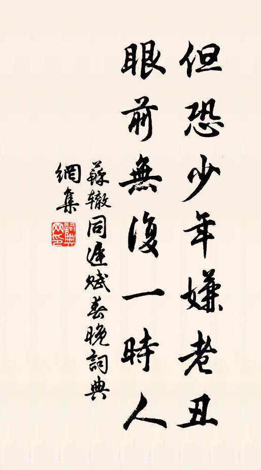 苏辙但恐少年嫌老丑，眼前无复一时人书法作品欣赏