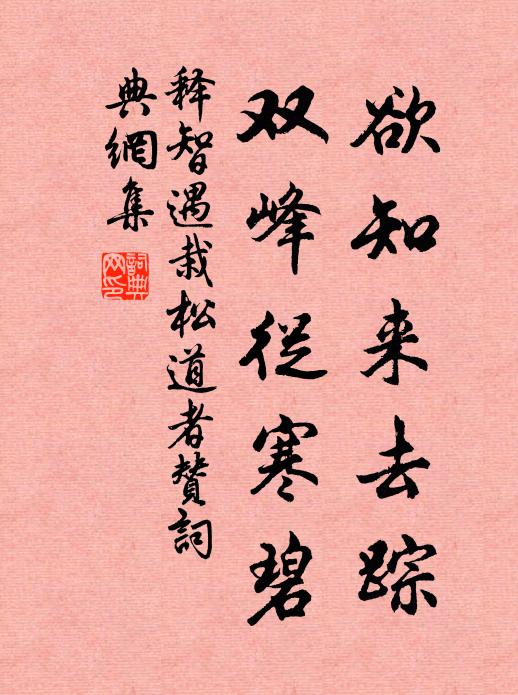 释智遇欲知来去踪，双峰从寒碧书法作品欣赏