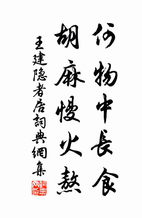 王建何物中长食，胡麻慢火熬书法作品欣赏