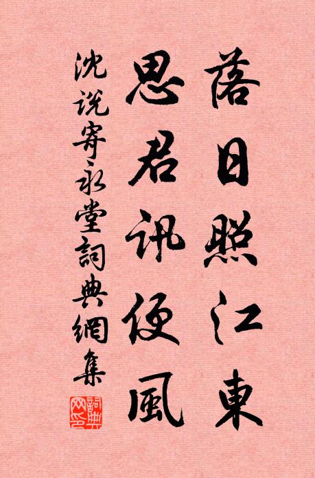 沈说落日照江东，思君讯便风书法作品欣赏