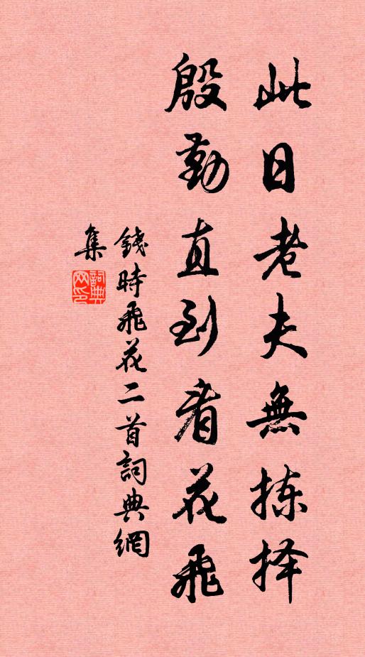 钱时此日老夫无拣择，殷勤直到看花飞书法作品欣赏