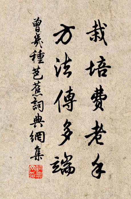 曾几栽培费老手，方法传多端书法作品欣赏