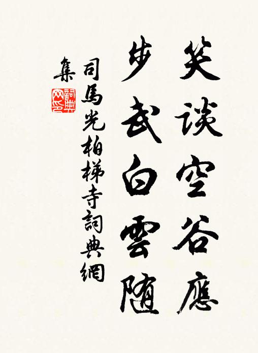 司马光笑谈空谷应，步武白云随书法作品欣赏