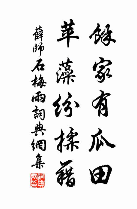 薛师石余家有瓜田，苹藻纷揉藉书法作品欣赏