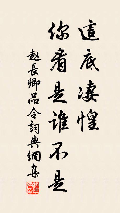 赵长卿这底凄惶，你看是谁不是书法作品欣赏