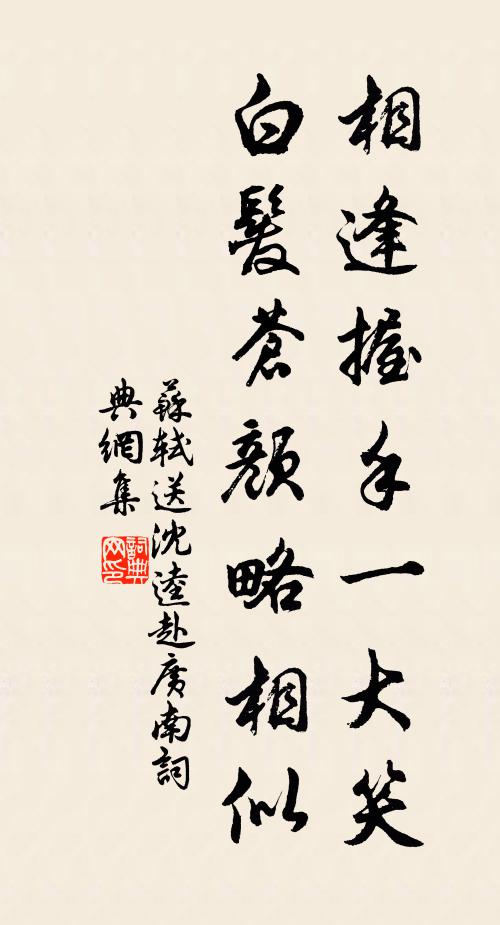 苏轼相逢握手一大笑，白发苍颜略相似书法作品欣赏