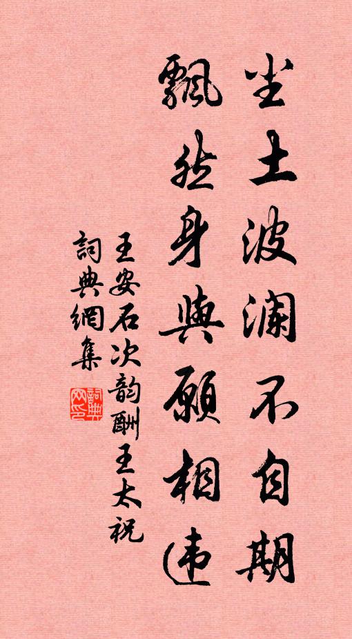 王安石尘土波澜不自期，飘然身与愿相违书法作品欣赏