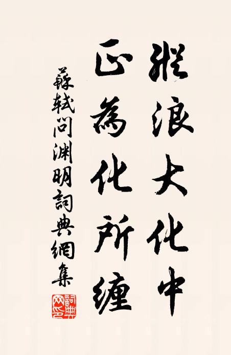 苏轼纵浪大化中，正为化所缠书法作品欣赏