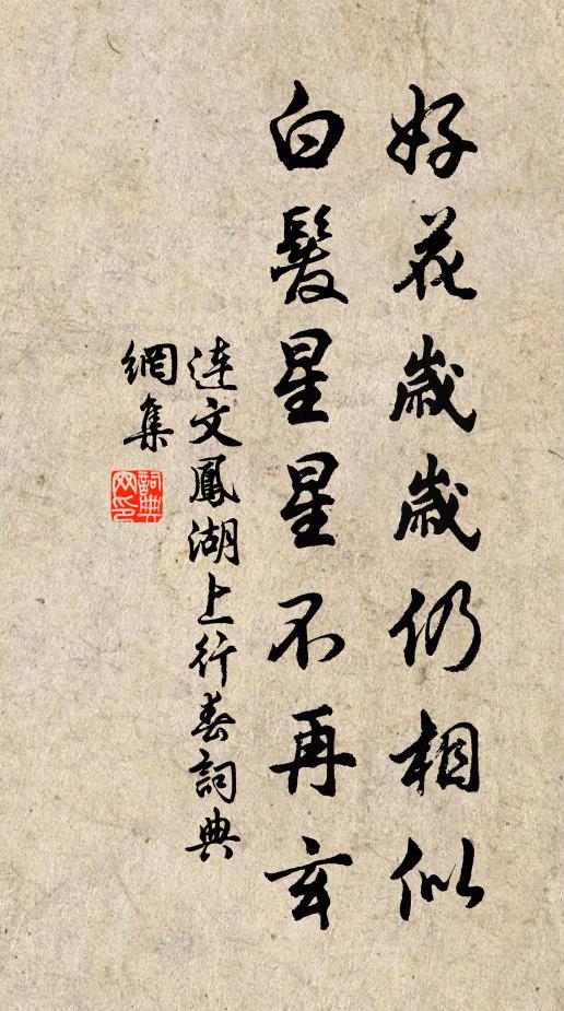 连文凤好花岁岁仍相似，白发星星不再玄书法作品欣赏