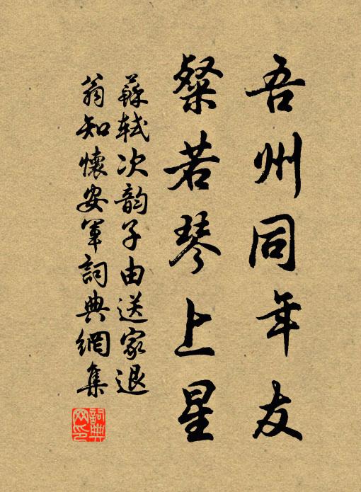 苏轼吾州同年友，粲若琴上星书法作品欣赏