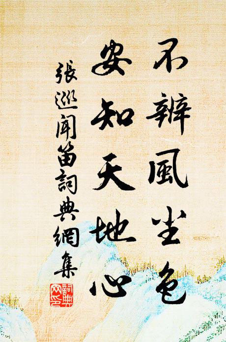 张巡不辨风尘色，安知天地心书法作品欣赏