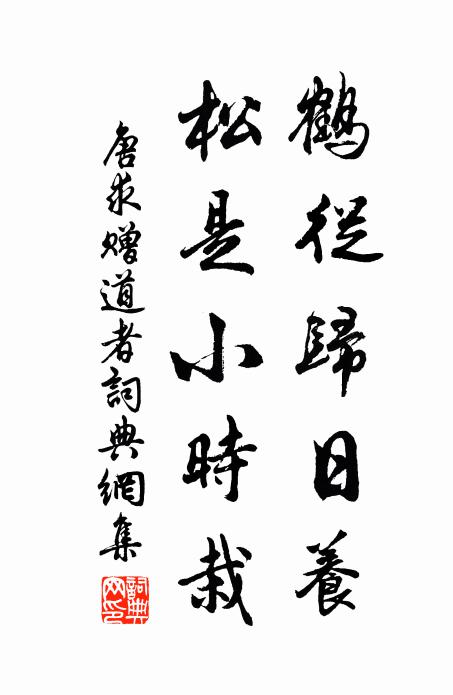 唐求鹤从归日养，松是小时栽书法作品欣赏