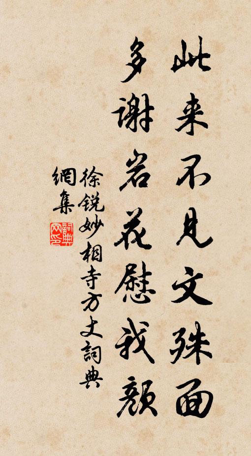 徐锐此来不见文殊面，多谢岩花慰我颜书法作品欣赏