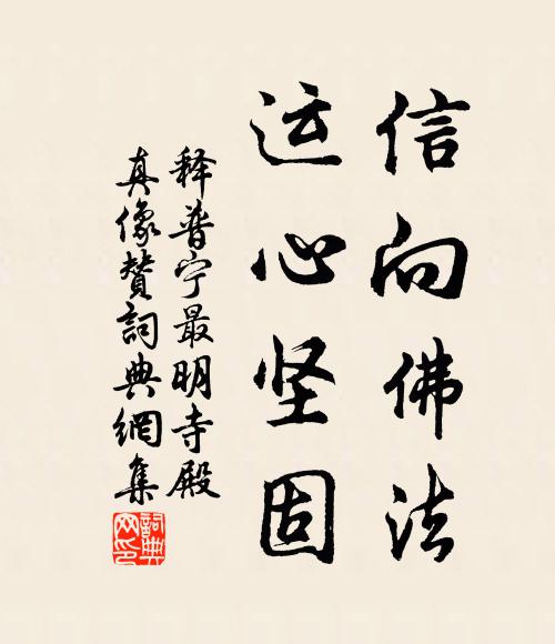 释普宁信向佛法，运心坚固书法作品欣赏
