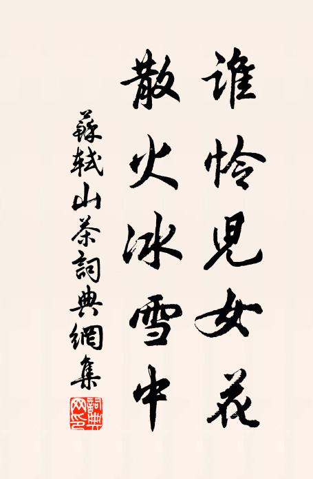 苏轼谁怜儿女花，散火冰雪中书法作品欣赏