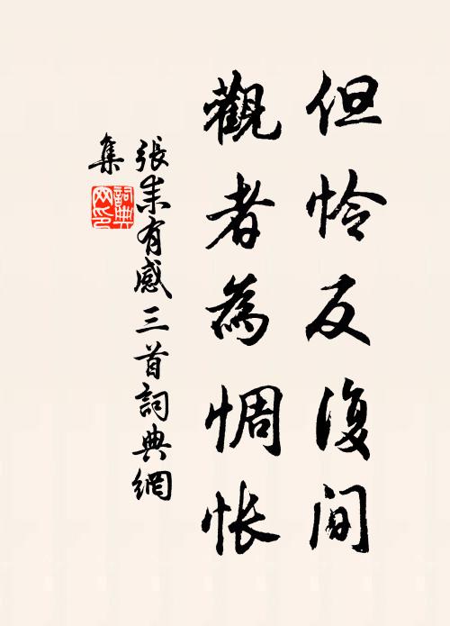 张耒但怜反复间，观者为惆怅书法作品欣赏