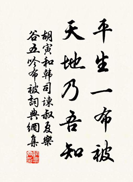 胡寅平生一布被，天地乃吾知书法作品欣赏