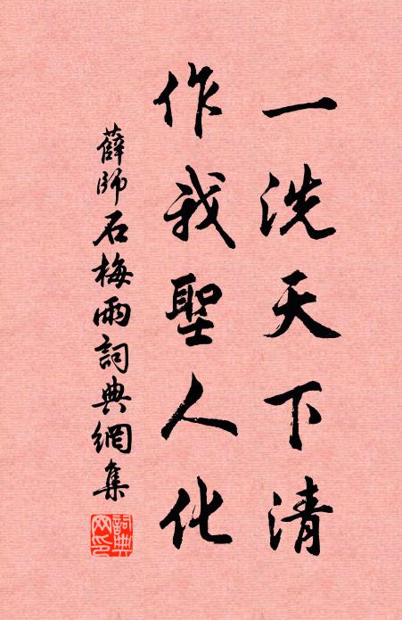 薛师石一洗天下清，作我圣人化书法作品欣赏