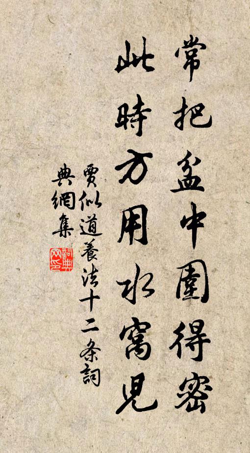 贾似道常把盆中围得密，此时方用水窝儿书法作品欣赏