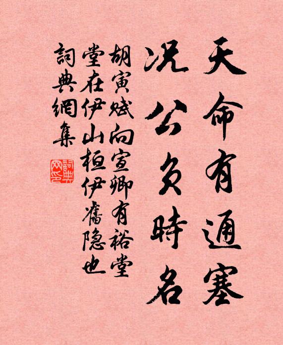 胡寅天命有通塞，况公负时名书法作品欣赏
