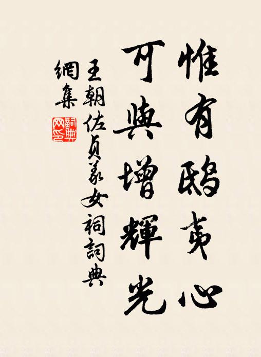 王朝佐惟有鸱夷心，可与增辉光书法作品欣赏