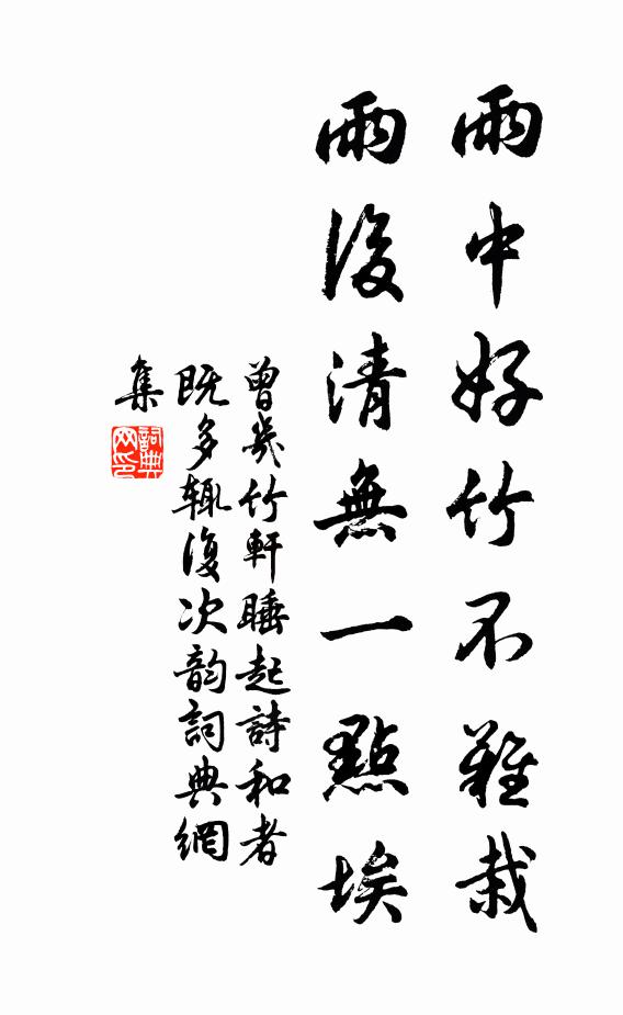 曾几雨中好竹不难栽，雨后清无一点埃书法作品欣赏
