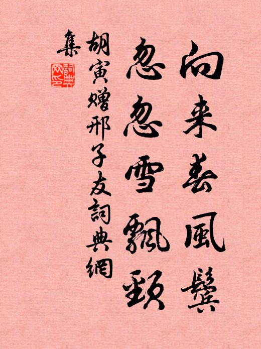 胡寅向来春风鬓，忽忽雪飘颈书法作品欣赏