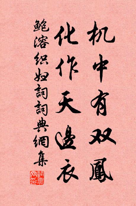鲍溶机中有双凤，化作天边衣书法作品欣赏