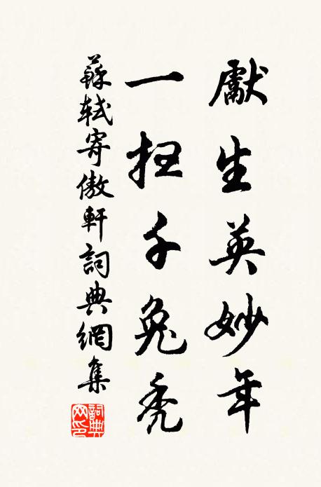 苏轼先生英妙年，一扫千兔秃书法作品欣赏