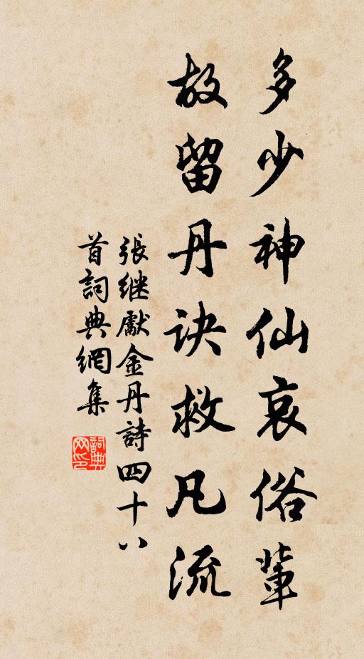 张继先多少神仙哀俗辈，故留丹诀救凡流书法作品欣赏