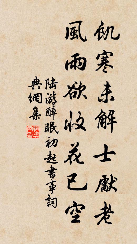 陆游饥寒未解士先老，风雨欲收花已空书法作品欣赏