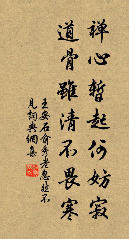 王安石禅心暂起何妨寂，道骨虽清不畏寒书法作品欣赏