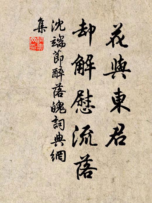 沈端节花与东君，却解慰流落书法作品欣赏