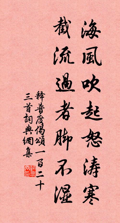 释普度海风吹起怒涛寒，截流过者脚不湿书法作品欣赏