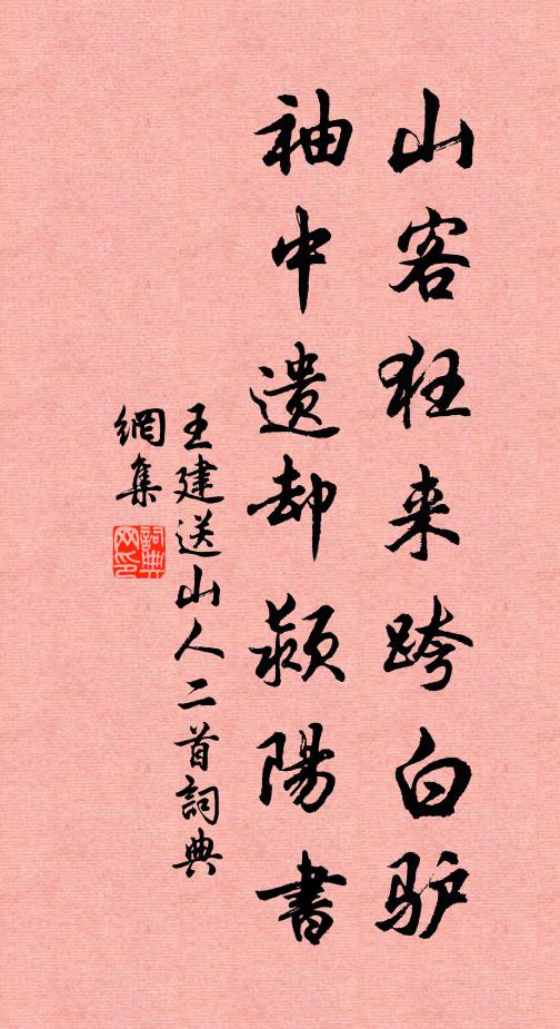 王建山客狂来跨白驴，袖中遗却颍阳书书法作品欣赏