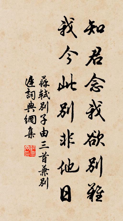 苏轼知君念我欲别难，我今此别非他日书法作品欣赏
