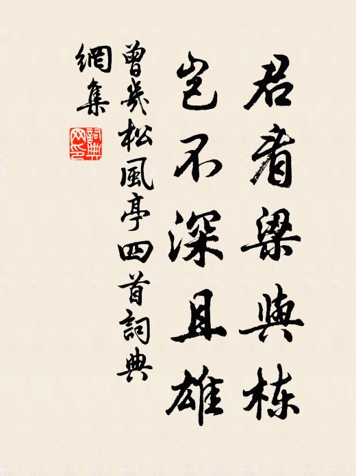 曾几君看梁与栋，岂不深且雄书法作品欣赏