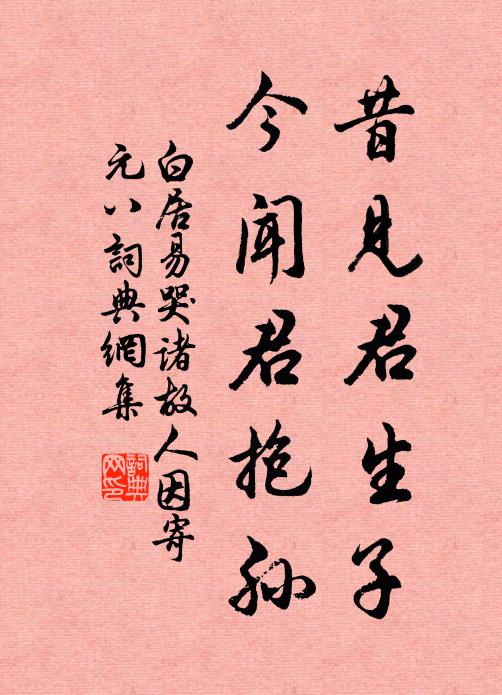 白居易昔见君生子，今闻君抱孙书法作品欣赏