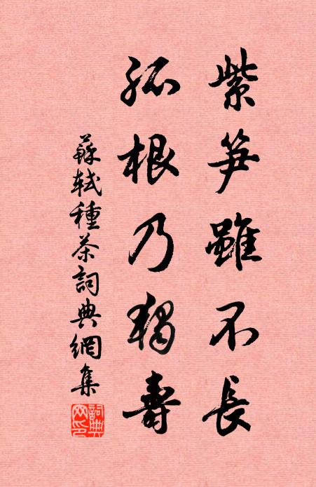 苏轼紫笋虽不长，孤根乃独寿书法作品欣赏