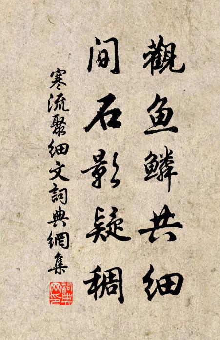 佚名观鱼鳞共细，间石影疑稠书法作品欣赏